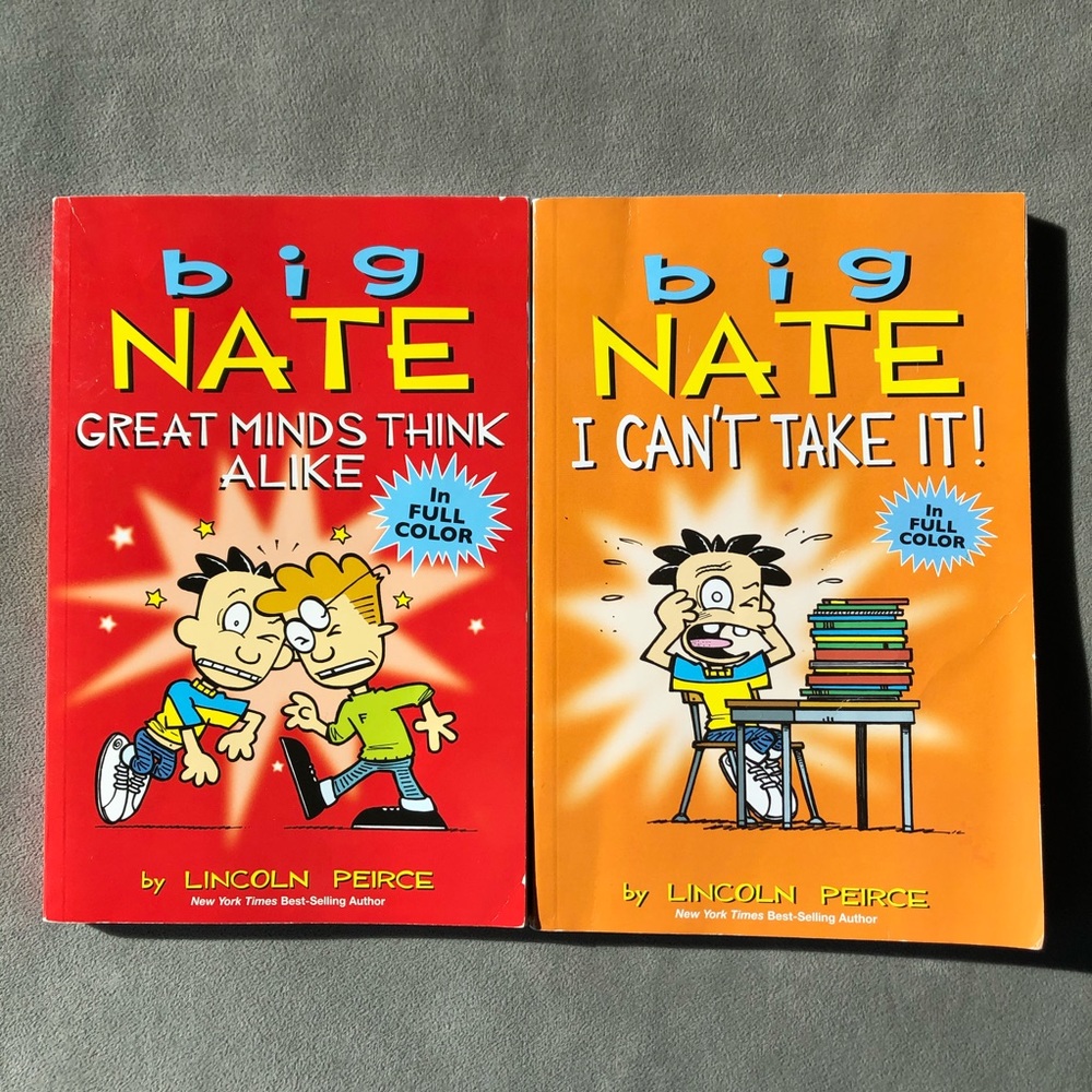 Set of 2 ~ Big Nate ~ Full Colour